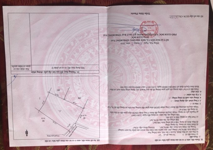 Cần bán đất sầu riêng Thái tại Bảo Bình, Cẩm Mỹ, Đồng Nai