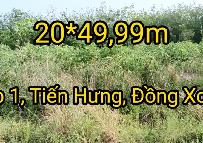 Hiếm - Bán Lô Đất Sào Tiến Hưng Sát KCN Đồng Xoài III, 20m Ngang Giá Đầu Tư