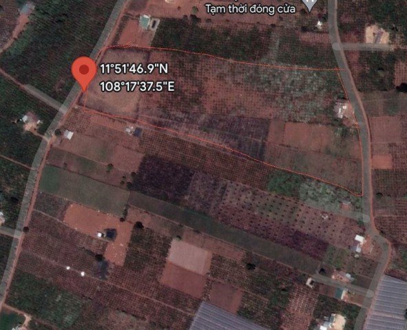 Cần Cho Thuê Gấp Lô Đất Đẹp 2 Mặt Tiền Thuộc Thị Trấn Nam Ban, Huyện Lâm Hà