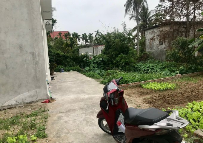 Bán lô  đất mặt ngõ 324 Cát Linh - Tràng Cát - Hải An - Hải Phòng.
