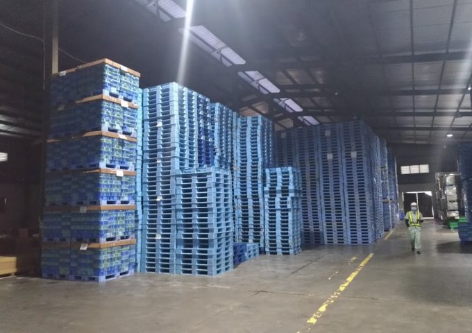 Cho Thuê Kho tại Triển Lãm Nông Nghiệp - Đầu đường PVĐ giao Hoàng Quốc Việt