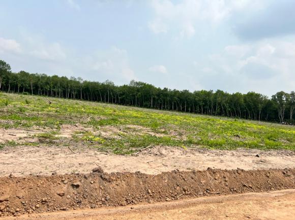 Chính chủ cần bán đất xào tại ấp 2 , Minh Thắng , Chơn Thành, Bình Phước