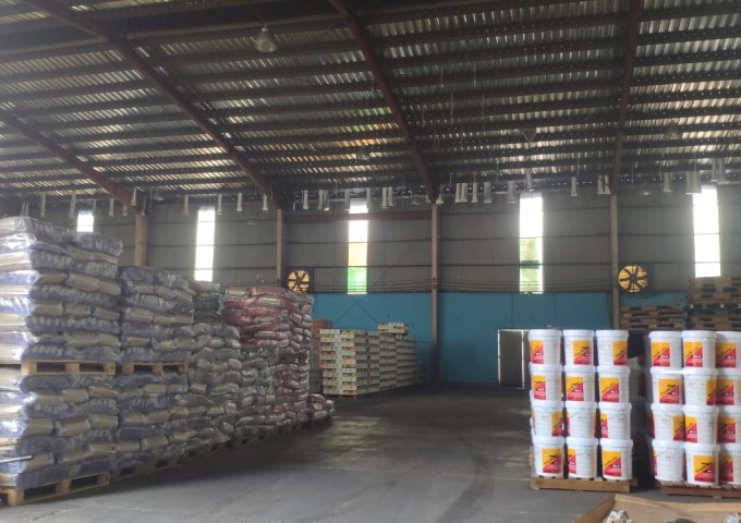 Cho thuê kho chứa hàng Diện tích 50 – 3000 m2 KCN Tân Tạo, KCN Tân Bình 