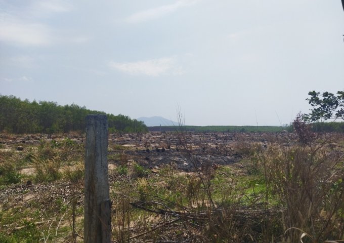 Hàng hiếm, 2,6ha đất view hồ Núi Đất giá chỉ 4,6 tỷ/ha