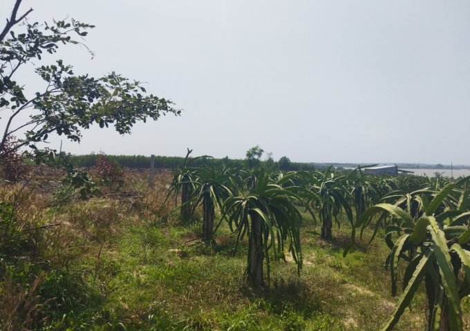 Hàng hiếm, 2,6ha đất view hồ Núi Đất giá chỉ 4,6 tỷ/ha