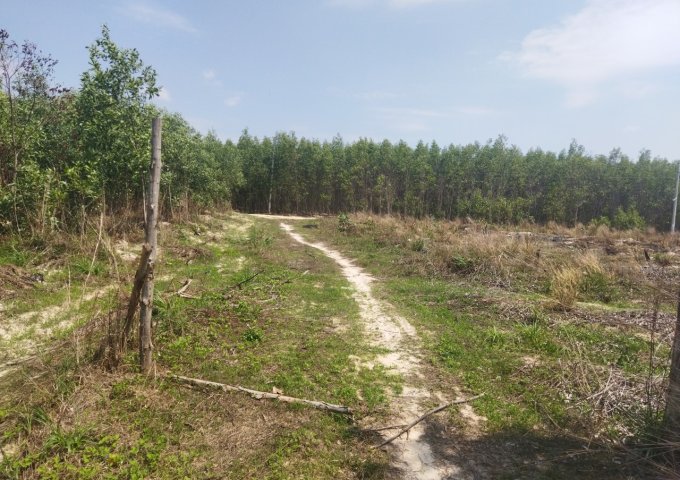 Hàng hiếm, 2,6ha đất view hồ Núi Đất giá chỉ 4,6 tỷ/ha