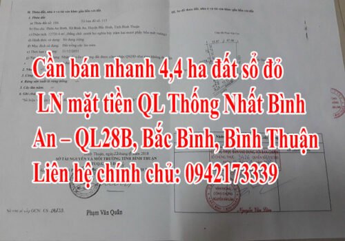 Cần bán nhanh 4,4 ha đất sổ đỏ CLN mặt tiền QL Thống Nhất Bình An - QL28B, Bắc Bình, Bình Thuận