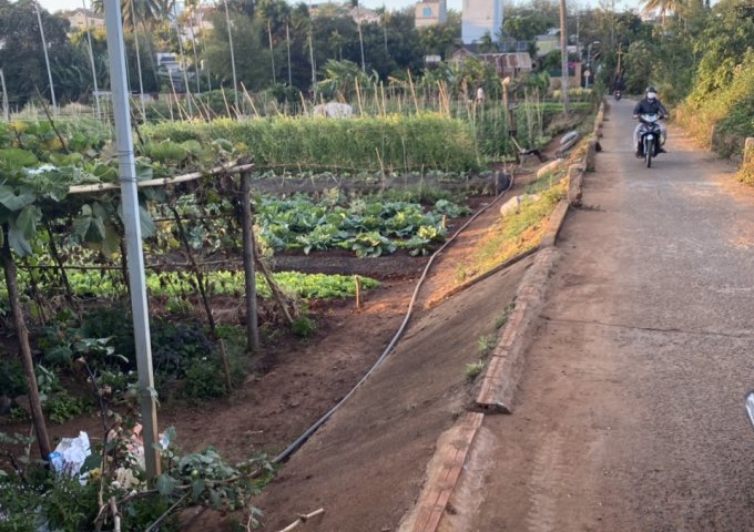 Chính chủ cần bán lô đất Phường Tự An, TP Buôn Ma Thuột,Tỉnh Đắk Lắk.