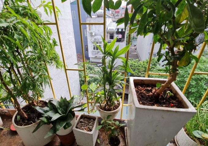 Bán gấp căn chung cư mini phố Trần Cung 38m2, tặng nội thất, 750 triệu