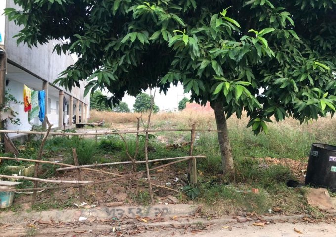 Ms 029: HN - Bán đất mặt tiền đường nhựa huyện Bắc Tân Uyên , Bình Dương