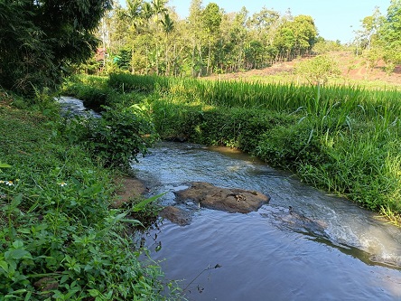 Cần bán lô đất Vị trí vàng mặt tiền tỉnh lộ 8 tại thị trấn Pơng drang, huyện Krông Búk, tỉnh Đăk Lăk.