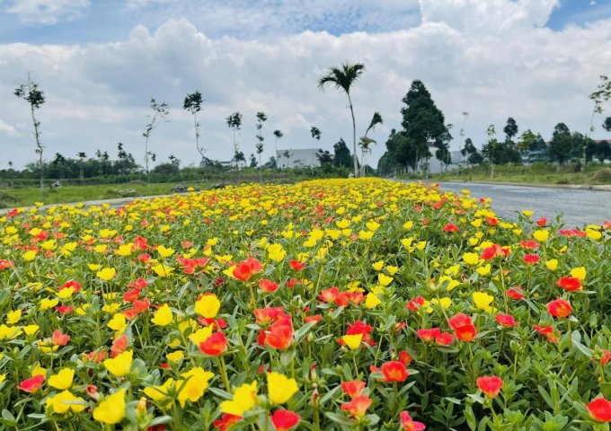 BÁN NỀN GÓC 2 MT TRỤC CHÍNH KDC THIÊN LỘC CÁI RĂNG, CẦN THƠ- VỊ TRÍ TUYỆT ĐẸP