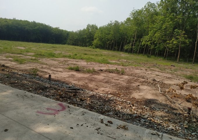 Bán đất chính chủ tại khu công nghiệp Becamex Chơn Thành Bình Phước, đất có sổ sẳn.Đầu tư siêu lợi nhuận, thử thách tầm nhìn.