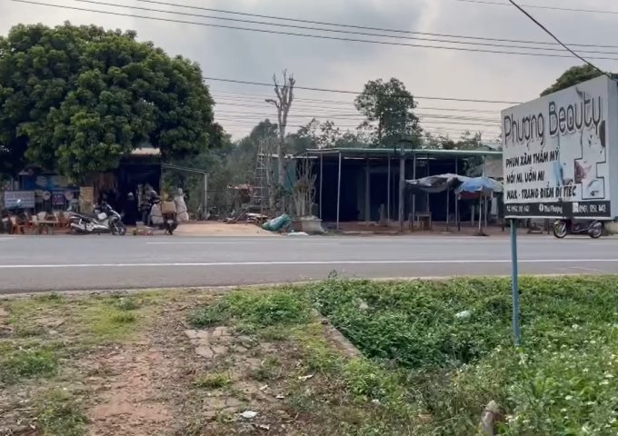 Bán đất mặt đường QL14, Hòa Phú, Chư Păh, Gia Lai 262m2 giá 1,15 tỷ
