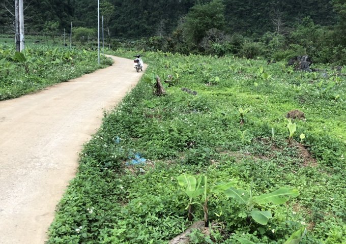 Cần bán nhanh lô đất tại Thôn Lùng Càng - Xã Phong Quang – Huyện Vị Xuyên – Tỉnh Hà Giang