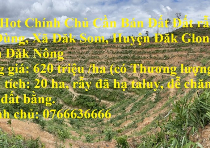 Hot Hot Chính Chủ Cần Bán Đất Đất rẫy ở Tà Đùng, Xã Đăk Som, Huyện Đăk Glong, Tỉnh Đăk Nông