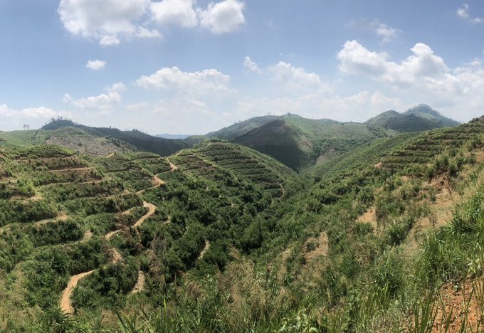 Hot Hot Chính Chủ Cần Bán Đất Đất rẫy ở Tà Đùng, Xã Đăk Som, Huyện Đăk Glong, Tỉnh Đăk Nông