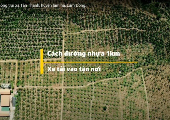 Cần bán 13 hecta đất nông trại Xã Tân Thanh ,Huyện Lâm Hà, Lâm Đồng