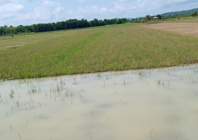 Cần bán lô đất ruộng, mặt tiền đường tại Đắc Lua, huyện Tân Phú, tỉnh Đồng Nai. Liên hệ: 0344668938