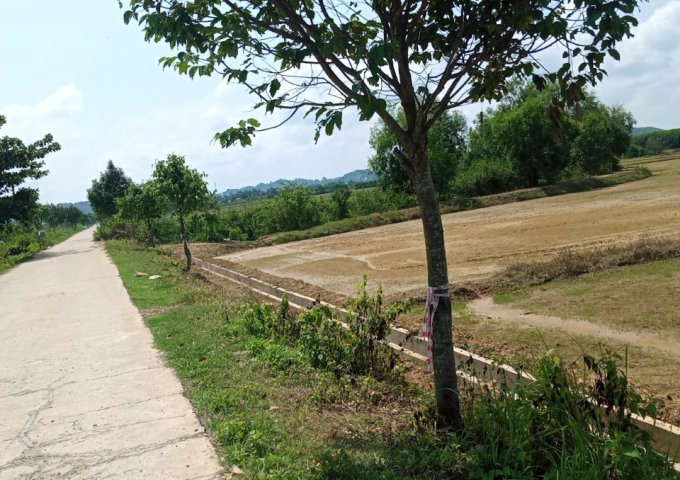 Cần bán lô đất ruộng, mặt tiền đường tại Đắc Lua, huyện Tân Phú, tỉnh Đồng Nai. Liên hệ: 0344668938