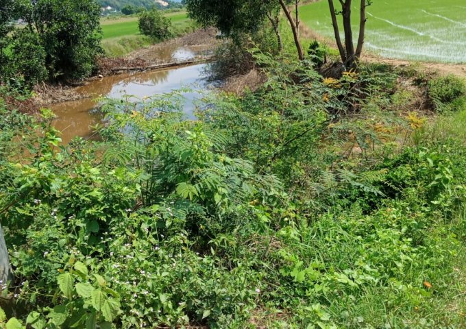 Cần bán lô đất ruộng, mặt tiền đường tại Đắc Lua, huyện Tân Phú, tỉnh Đồng Nai. Liên hệ: 0344668938