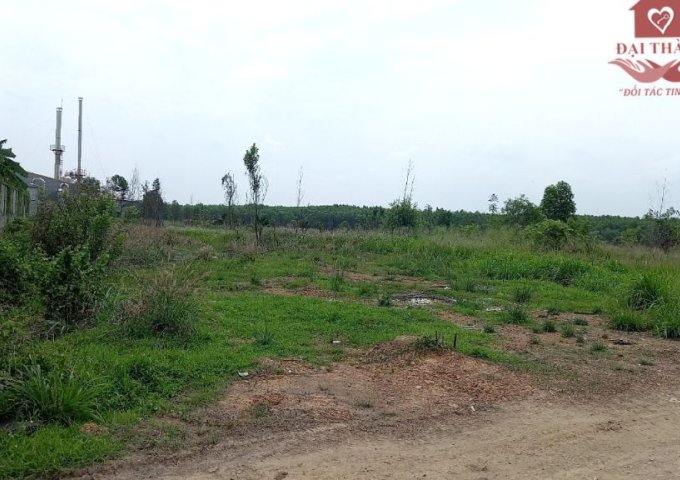 Bán đất xây dựng nhà xưởng cụm KCN Thiện Tân-Vĩnh Cửu-Đồng nai Diện tích; .000m² (1ha)