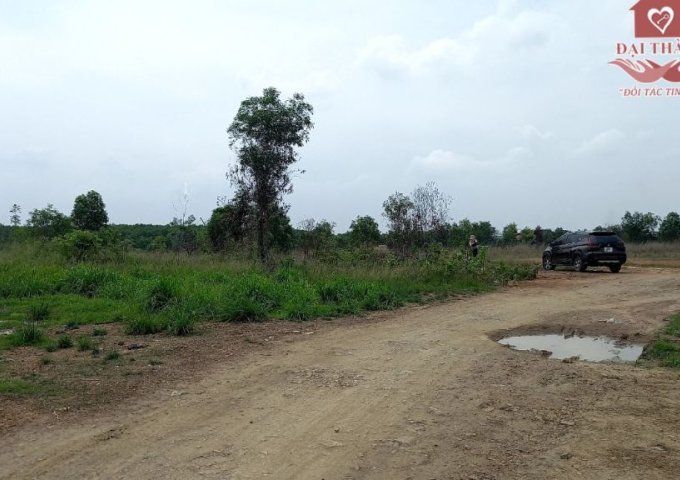 Bán đất xây dựng nhà xưởng cụm KCN Thiện Tân-Vĩnh Cửu-Đồng nai Diện tích; .000m² (1ha)