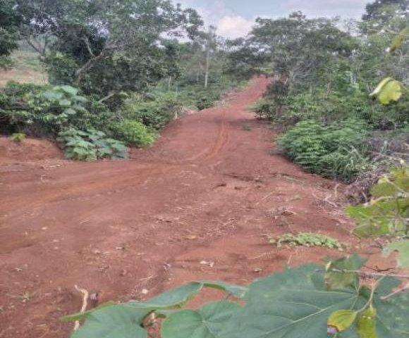 Gia đình cần bán đất tại thôn 8, xã Đăk Hà, huyện Đăk GLong, tỉnh Đăk Nông