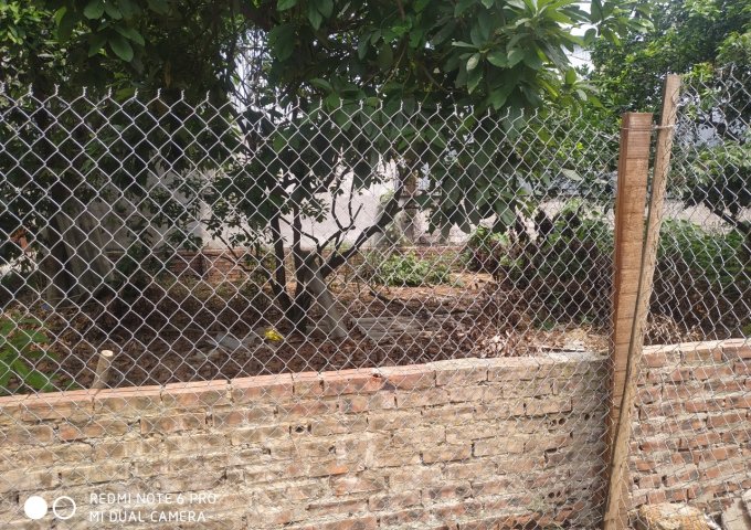 💥💥💥Chính chủ gửi bán lô đất thôn 5 Tân xã Thạch thất Hà Nội🌺🌺🌺