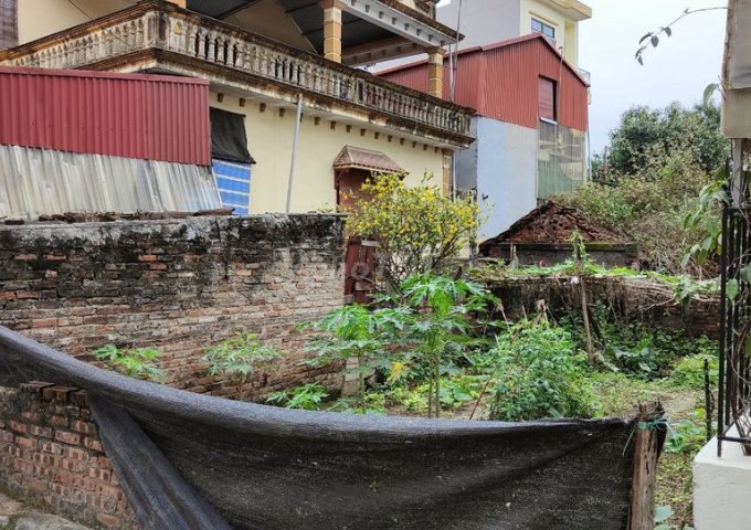 Chính chủ cần bán đất thôn 1, Xã Đông Dư, Huyện Gia Lâm, Hà Nội