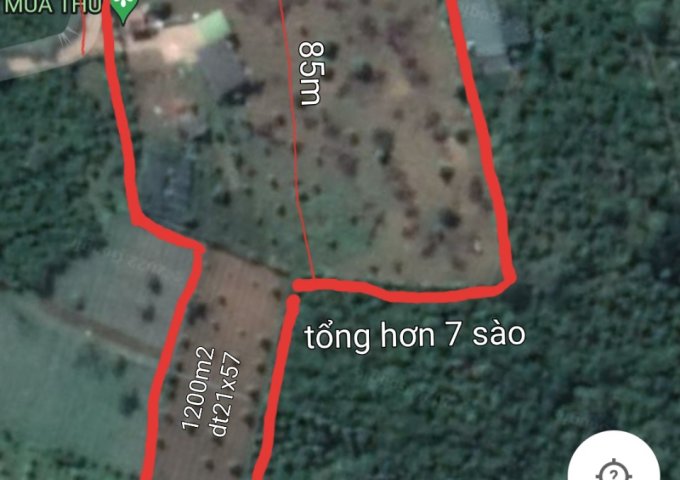 LÔ 7100M2 THÔN 16 XÃ LỘC THÀNH- BẢO LỘC- LÂM ĐỒNG.