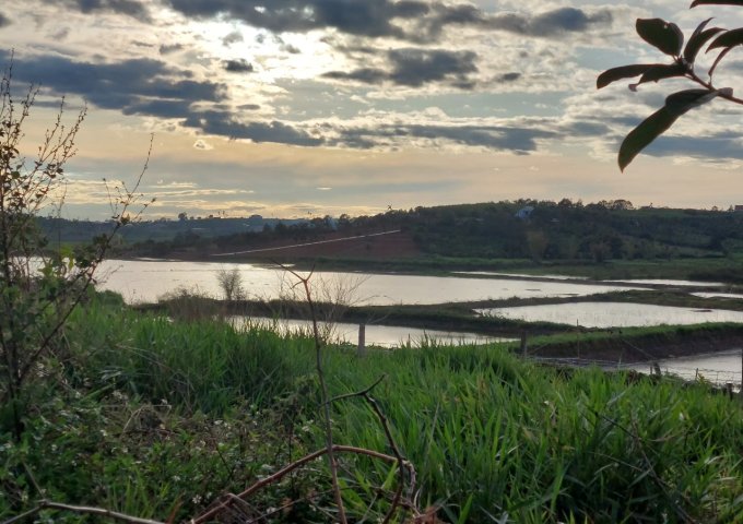 CHÍNH CHỦ CẦN BÁN LÔ ĐẤT VỊ TRÍ ĐẮC ĐỊA TẠI XÃ LIÊN HÀ,HUYỆN LÂM HÀ,TỈNH LÂM ĐỒNG