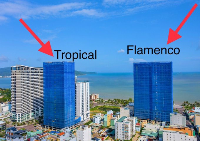 Chỉ từ 450 triệu sở hữu căn 2PN cuối cùng của dự án Quy Nhơn Melody