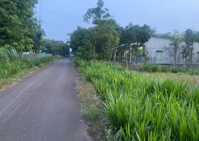 BÁN LÔ ĐẤT TUYỆT ĐẸP XÃ TÂN THÀNH, HUYỆN BÙ ĐỐP, TỈNH BÌNH PHƯỚC. LH: 0978.78.48.68