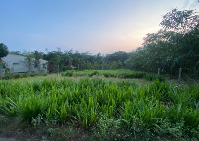 BÁN LÔ ĐẤT TUYỆT ĐẸP XÃ TÂN THÀNH, HUYỆN BÙ ĐỐP, TỈNH BÌNH PHƯỚC. LH: 0978.78.48.68