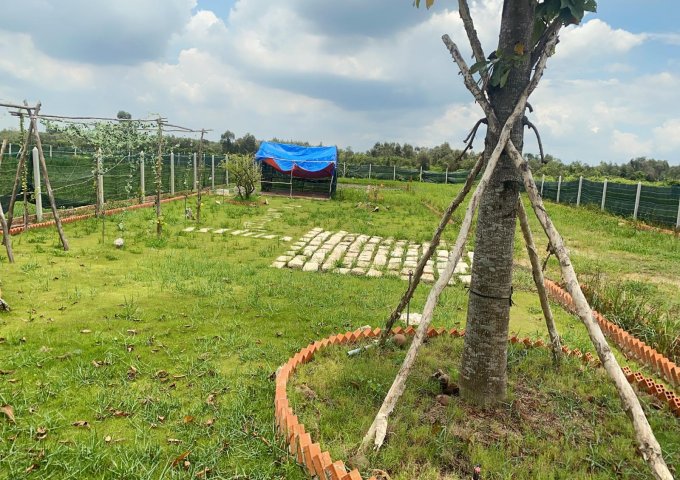 Đất 1 xẹc Cây Trôm Mỹ Khánh, Củ Chi. 1000m2, giá 1,6 tỷ