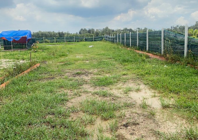 Đất 1 xẹc Cây Trôm Mỹ Khánh, Củ Chi. 1000m2, giá 1,6 tỷ