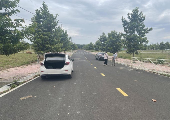 Bán đất tại Dự án Asian Lake View, Đồng Xoài,  Bình Phước diện tích 192m2