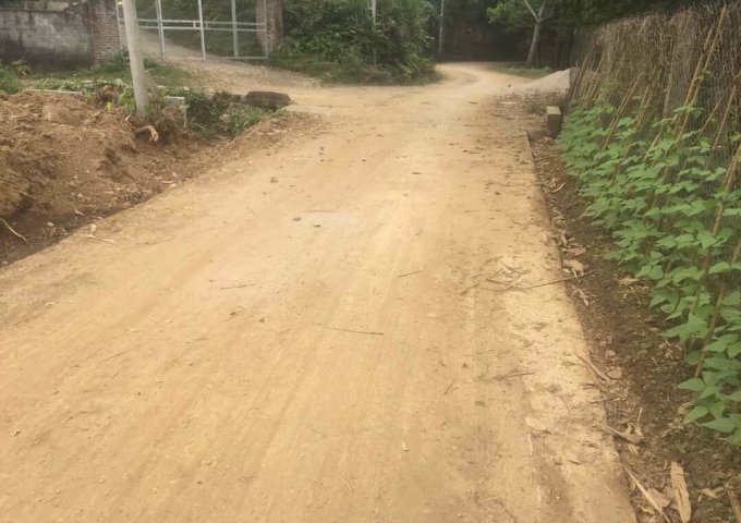 CHỦ CẦN BÁN LÔ ĐẤT ĐẸP TẠI THÔN 9, XÃ BA TRẠI, HUYỆN BA VÌ