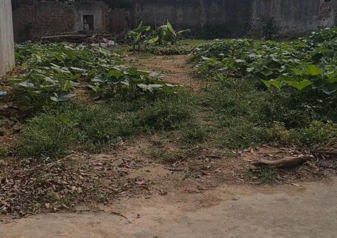 Mình chính chủ cần bán gấp mảnh đất full thổ cư.