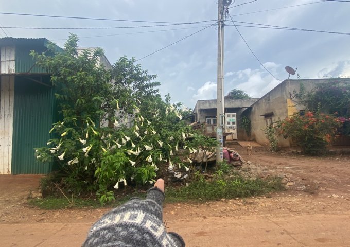 đất giá rẻ tại thôn suối thông A2 xã Đạ Ròn huyện Đơn Dương tỉnh Lâm Đồng