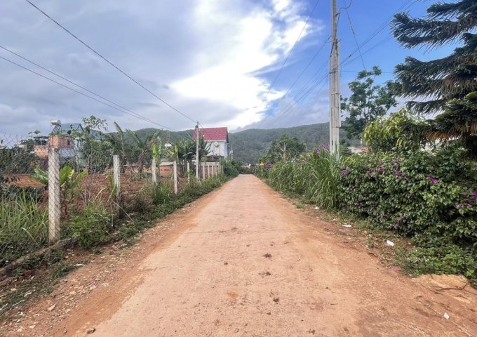 đất giá rẻ tại thôn suối thông A2 xã Đạ Ròn huyện Đơn Dương tỉnh Lâm Đồng