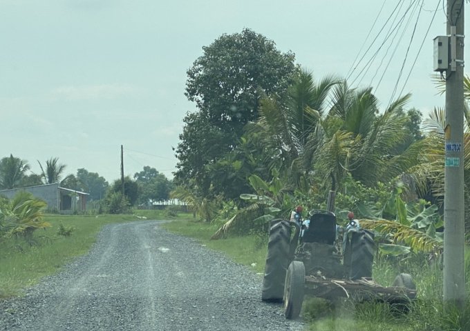 Bán đất đường hố bò xã phú mỹ hưng Huyện củ chi 1000m2