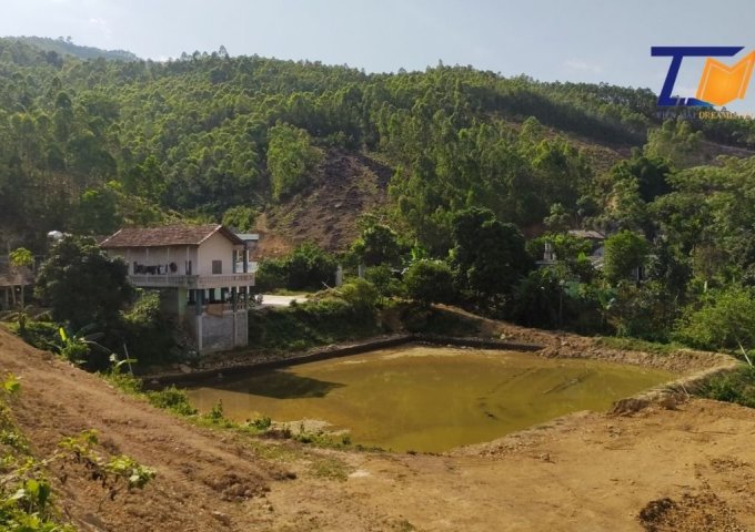 Bán đất tại Xã Tu Vũ, Thanh Thủy,  Phú Thọ diện tích 6,000m2 có 400m2 Thổ cư sẵn nhà 2 tầng lưng tựa đồi LH: A Tiến 