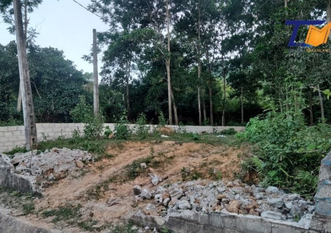Bán đất tại Xã Thắng Sơn, Thanh Sơn,  Phú Thọ diện tích 260m2 mặt QL70B Giá siêu rẻ Cần bán 