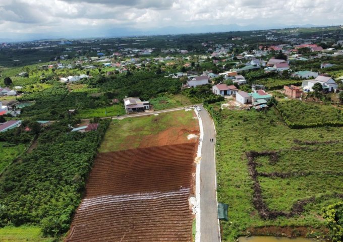 chính chủ cần bán lô đất trung tâm Lộc Quảng