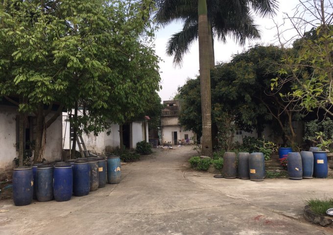 Bán hoặc cho thuê lô đất ngoại ô cuối thủ đô Hà Nội làm trang trại sạch, kho bãi