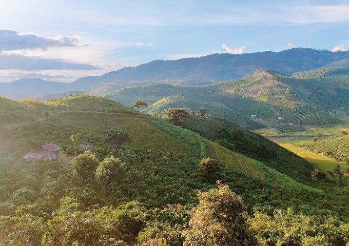 Bán lô đất 1,6ha view đồi núi tại Phi Tô, Lâm Hà