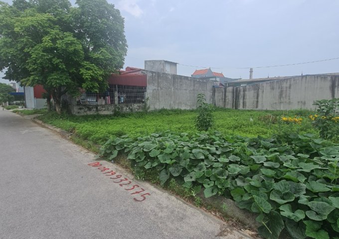 Bán đất ở mặt trục thôn Khánh Thịnh  An Hồng 107 m2, 2,2 tỷ