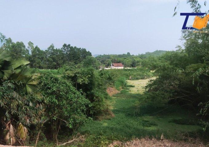 Bán đất tại Xã Yến Mao, Thanh Thủy,  Phú Thọ diện tích 3,435m2 giá chỉ hơn 2 tỷ LH: A TIến 